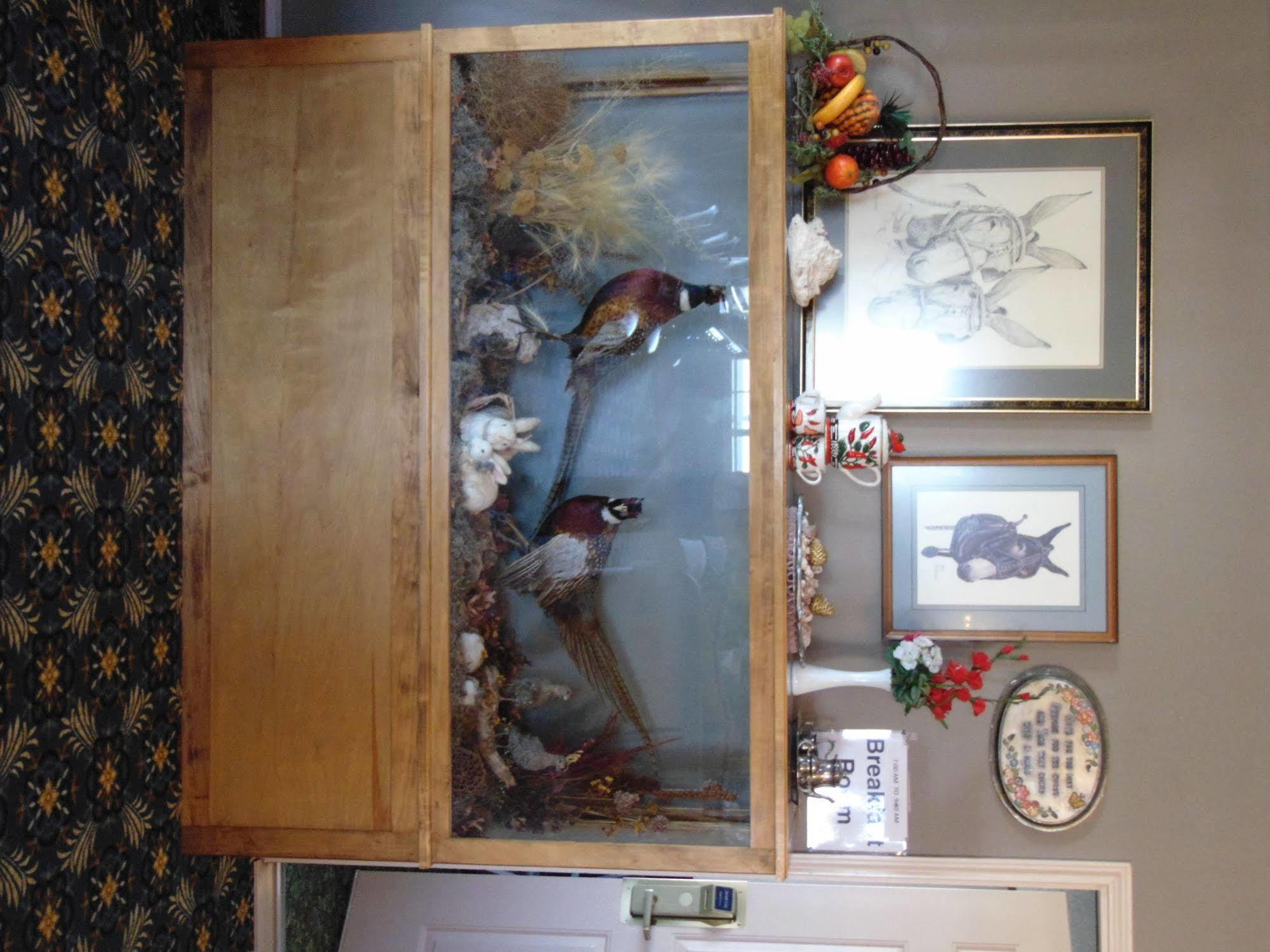 Heritage House Inn Muleshoe エクステリア 写真